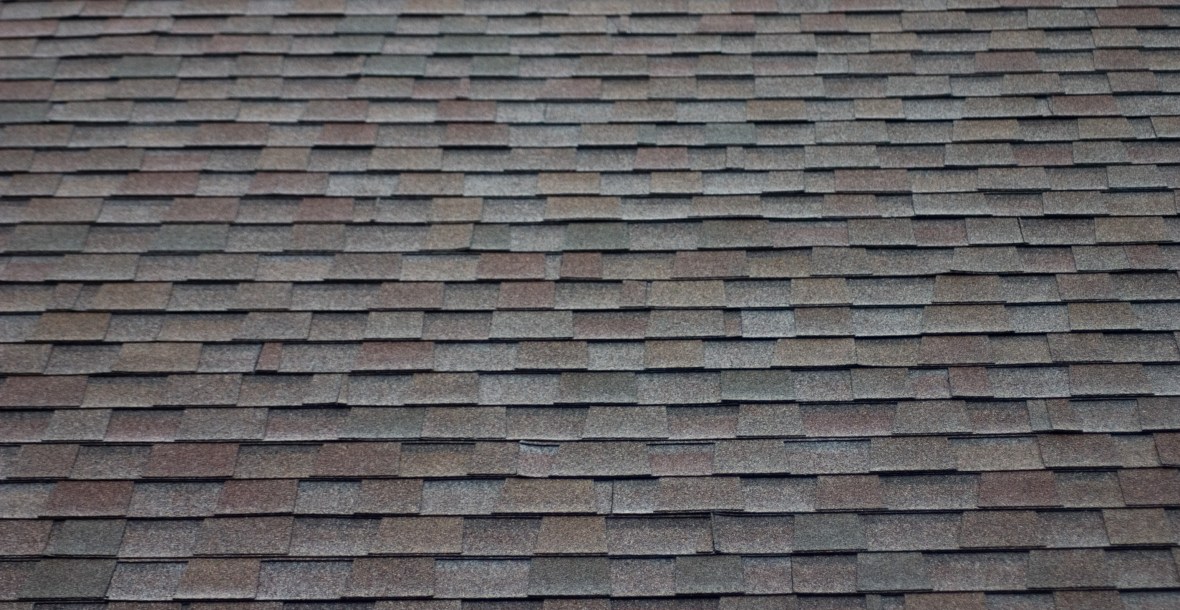 Roof photo by J. Ott